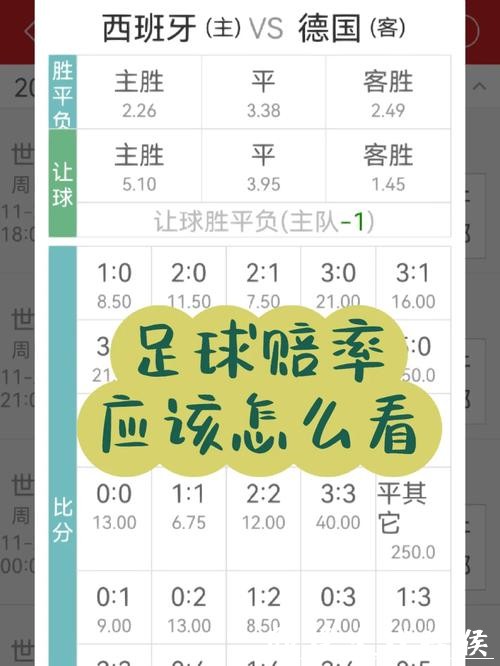 世界杯下注APP:高赔率的可靠选择推荐 世界杯下注APP:高赔率的可靠选择推荐